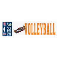OUAZ Decal Volleyball