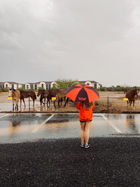 OUAZ Umbrella Storm Dud